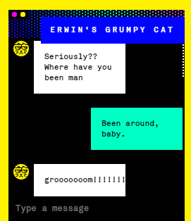 Erwin's Grumpy Cat